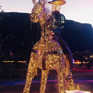 Parrtjima2