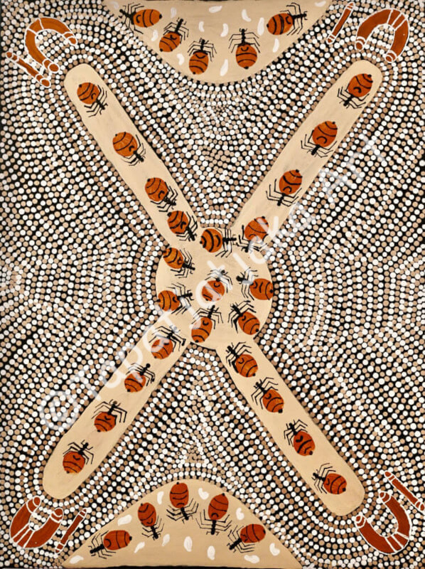 Nora CAMPBELL - Titjikala Arts