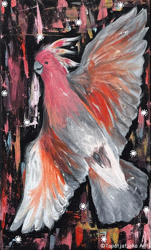 Pink Cockatoo in flight by Whitney  Simmons